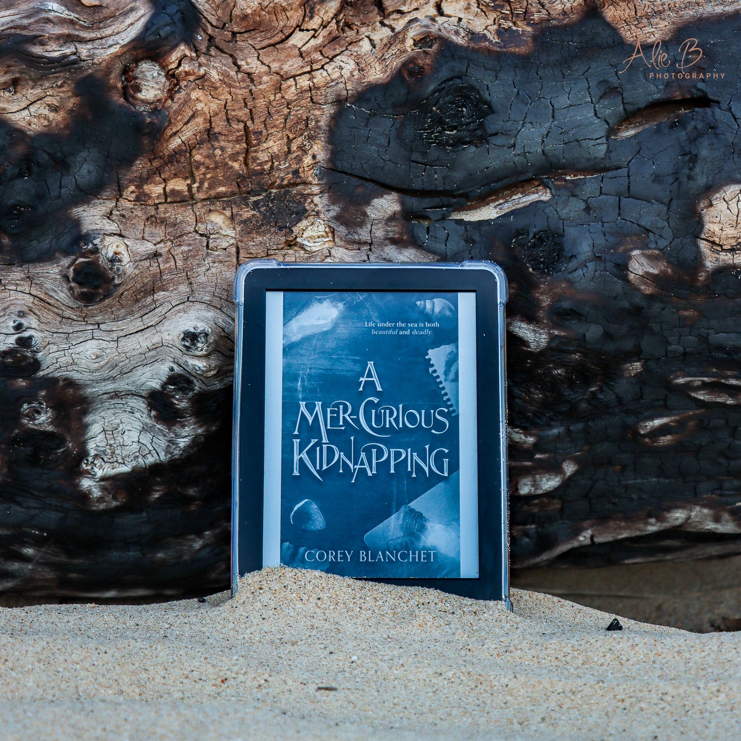 A Mer-Curious Kidnapping