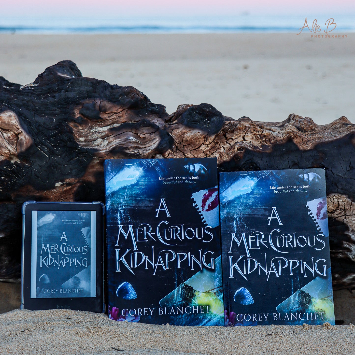 A Mer-Curious Kidnapping