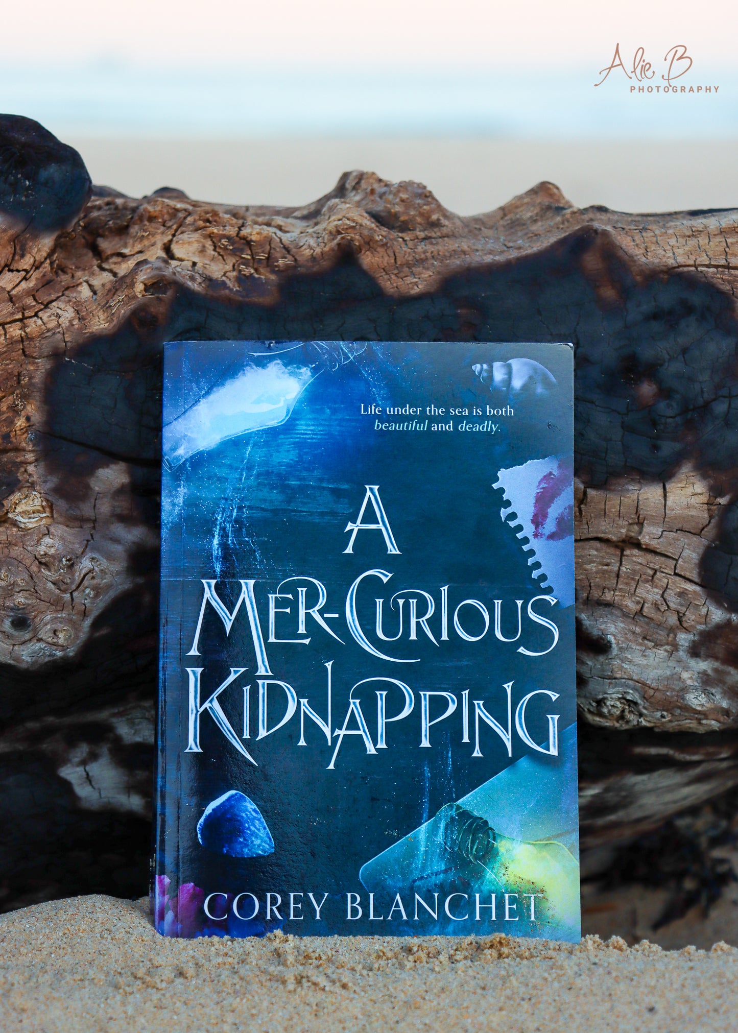 A Mer-Curious Kidnapping